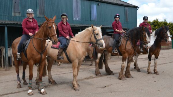Anglesey Riding Centre